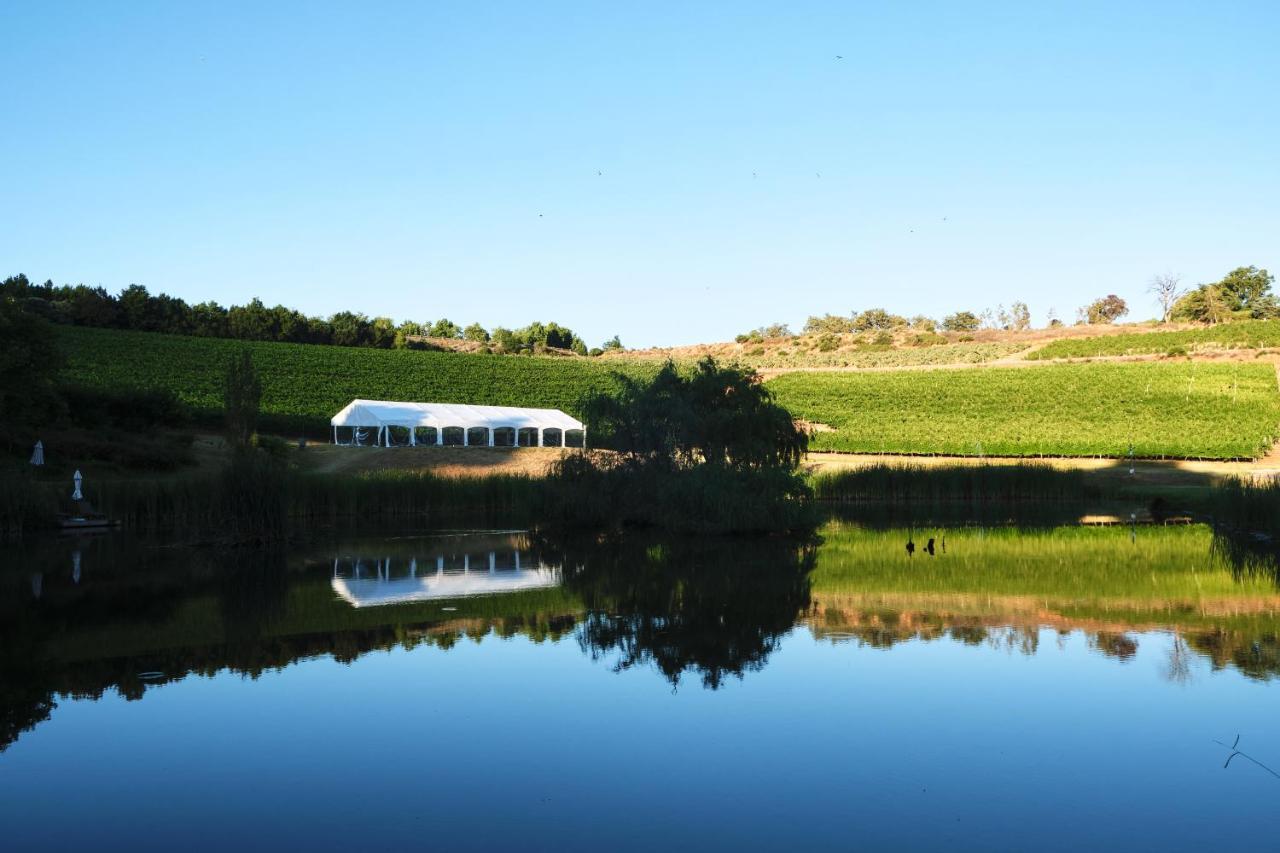 Alluvia Boutique Winery & Luxury Accommodation Stellenbosch Exterior photo The vineyard at the winery