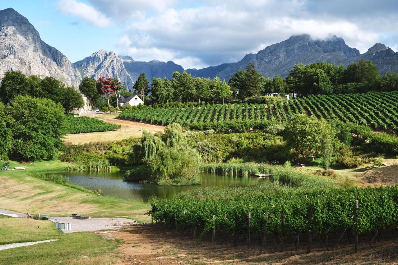 Alluvia Boutique Winery & Luxury Accommodation Stellenbosch Exterior photo Wine estate in Stellenbosch
