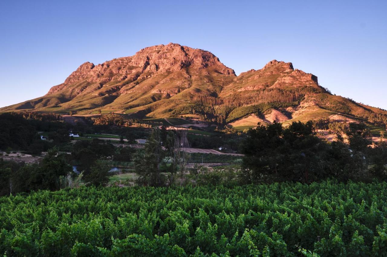 Alluvia Boutique Winery & Luxury Accommodation Stellenbosch Exterior photo The Paarl Mountain