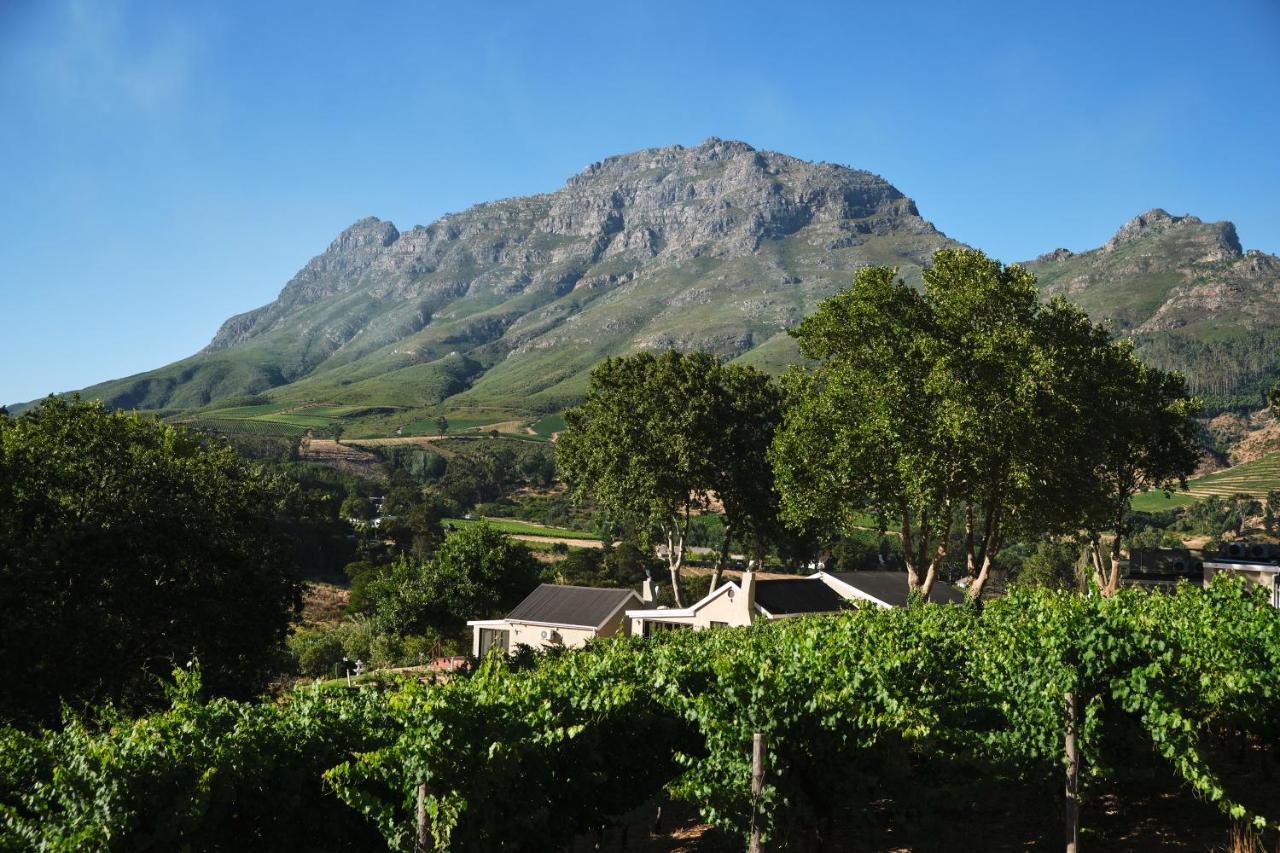 Alluvia Boutique Winery & Luxury Accommodation Stellenbosch Exterior photo Wine estate in Stellenbosch