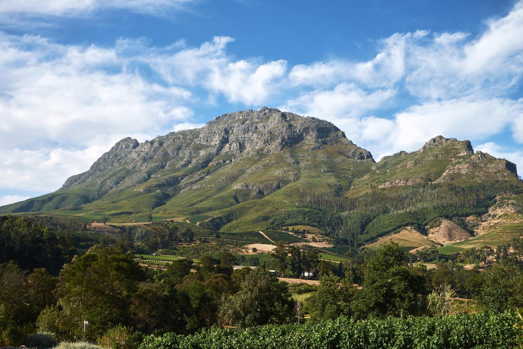 Alluvia Boutique Winery & Luxury Accommodation Stellenbosch Room photo The Helderberg